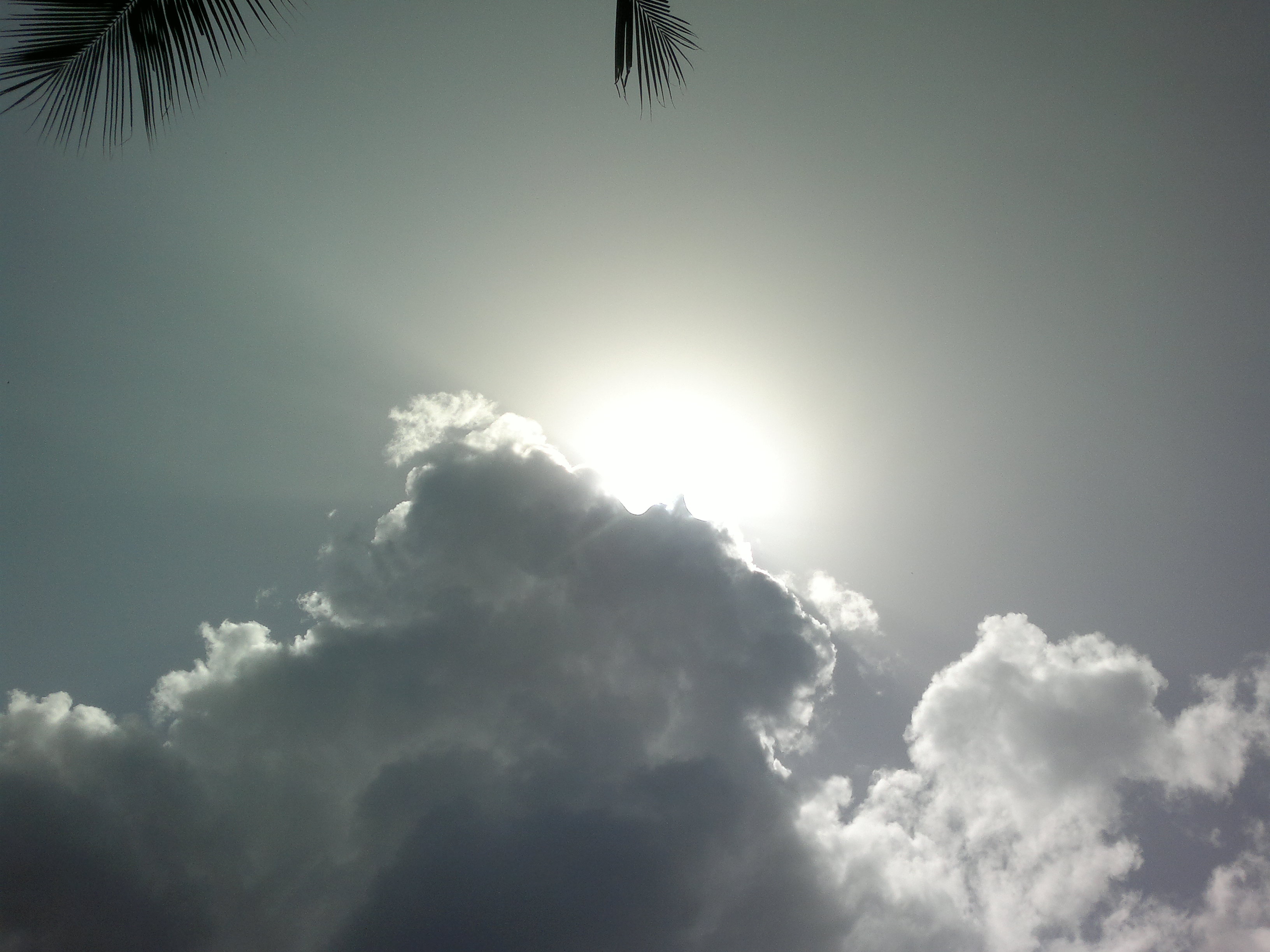 My Photography